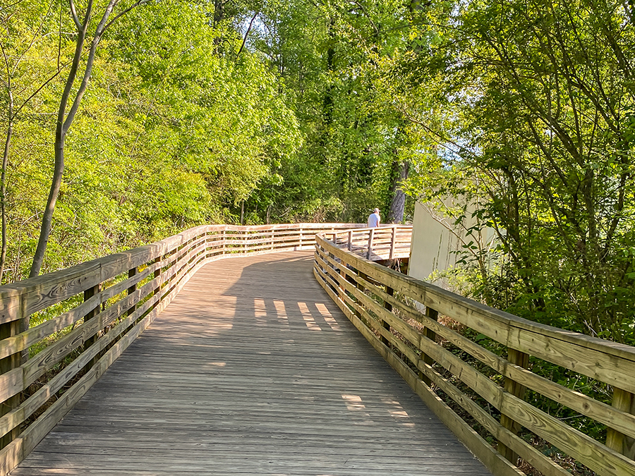 Greenprint Trail System in Woodstock 